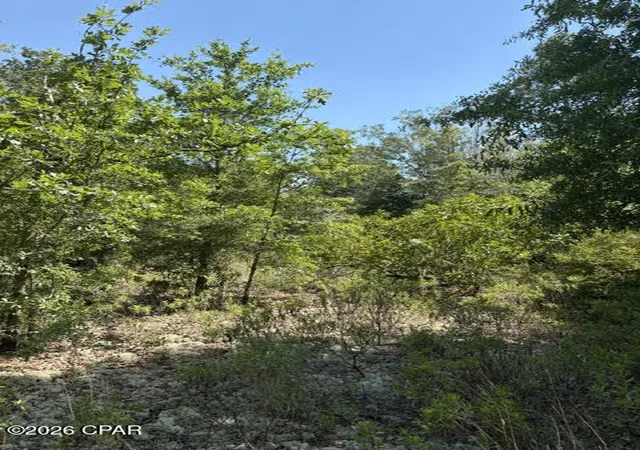 14th image of 00 Pasofino Ln #M-2, Alford, FL 32420 | MLS# 790941