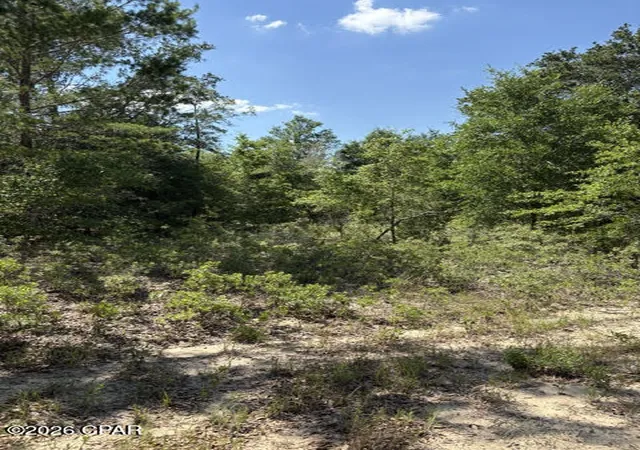 1st image of 00 Pasofino Ln #M-2, Alford, FL 32420 | MLS# 790941