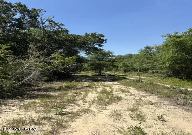 3rd image of 00 Pasofino Ln #M-2, Alford, FL 32420 | MLS# 790941