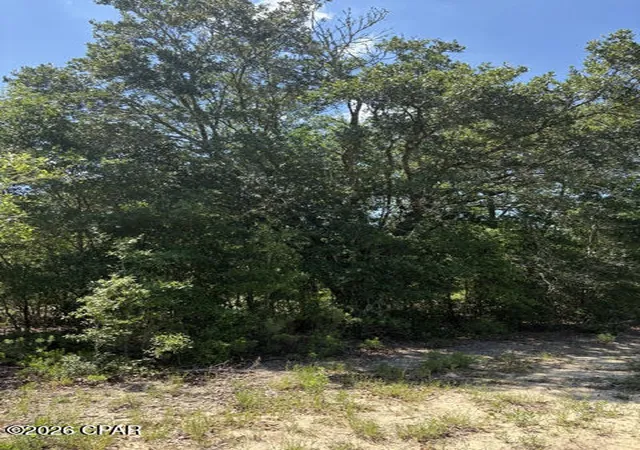4th image of 00 Pasofino Ln #M-2, Alford, FL 32420 | MLS# 790941
