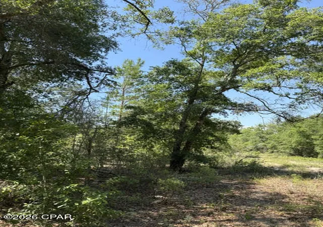 5th image of 00 Pasofino Ln #M-2, Alford, FL 32420 | MLS# 790941