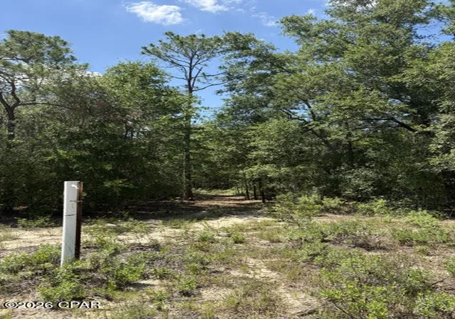 1st image of 000 Pasofino Ln #B-3, Alford, FL 32420 | MLS# 790944