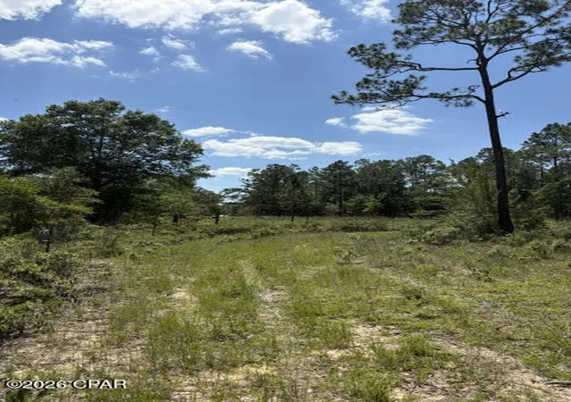21st image of 000 Pasofino Ln #B-3, Alford, FL 32420 | MLS# 790944