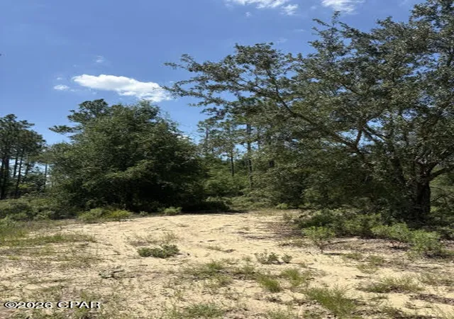 3rd image of 000 Pasofino Ln #B-3, Alford, FL 32420 | MLS# 790944