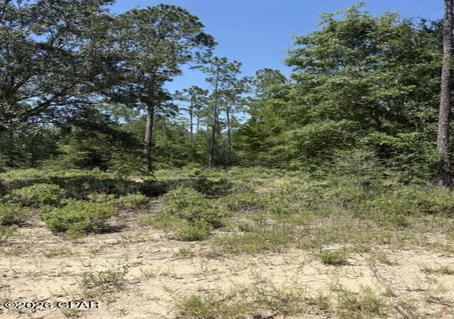 4th image of 000 Pasofino Ln #B-3, Alford, FL 32420 | MLS# 790944