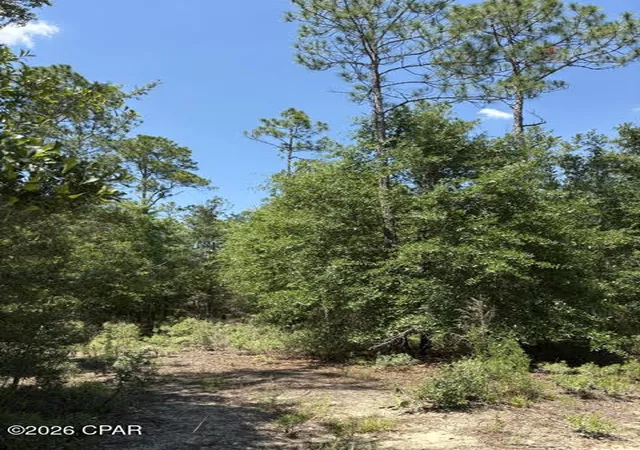 5th image of 000 Pasofino Ln #B-3, Alford, FL 32420 | MLS# 790944