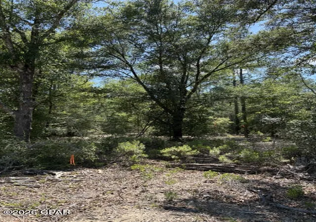 1st image of 0 Pasofino Ln #M2-B3, Alford, FL 32420 | MLS# 790945