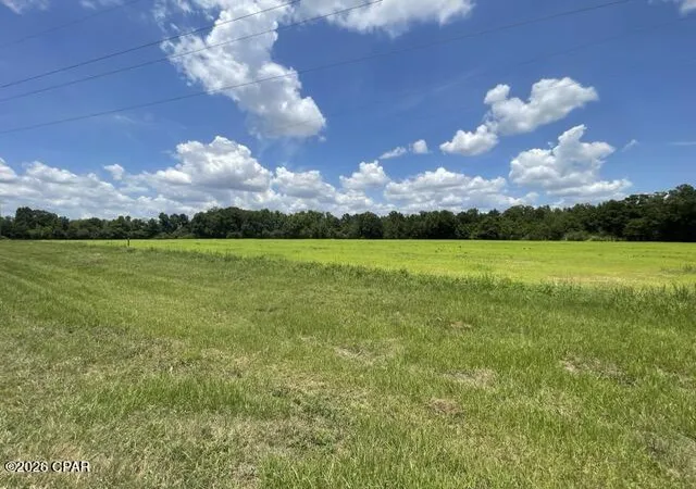 Homes for sale in Graceville, FL | 0000 Peanut Rd, Graceville, FL 32440 | MLS# 791200