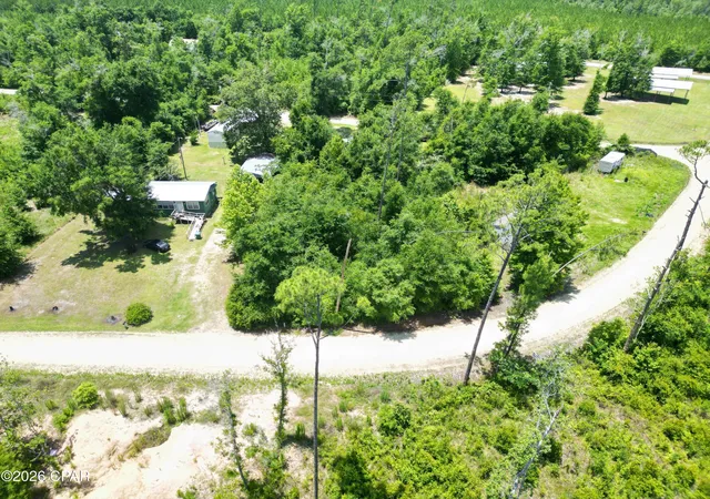 5th image of Xxx Mcclellan St, Kinard, FL 32449 | MLS# 791217
