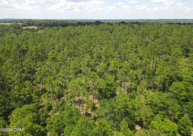 Homes for sale in Defuniak Springs, FL | 0 St Hwy 83, Defuniak Springs, FL 32433 | MLS# 791298