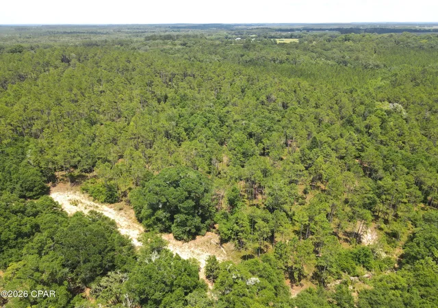 Homes for sale in Defuniak Springs, FL | 0 St Hwy 83, Defuniak Springs, FL 32433 | MLS# 791298