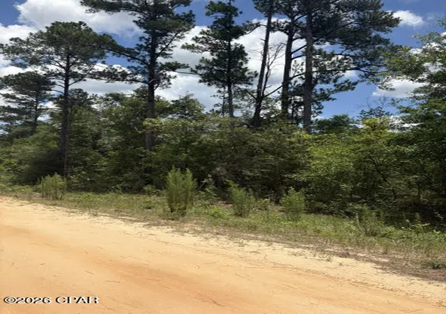 Photo 1 of Land for sale at 0 Tiger Ave, Marianna, FL 32448 | MLS# 791303 | Listing updated on 2026-06-13