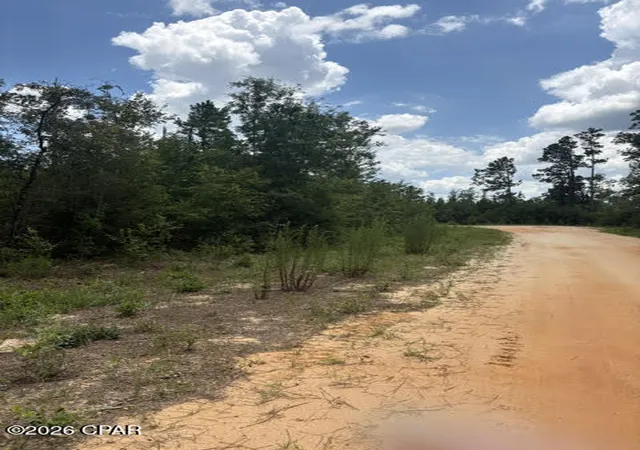 Photo 3 of Land for sale at 0 Tiger Ave, Marianna, FL 32448 | MLS# 791303 | Listing updated on 2026-06-13