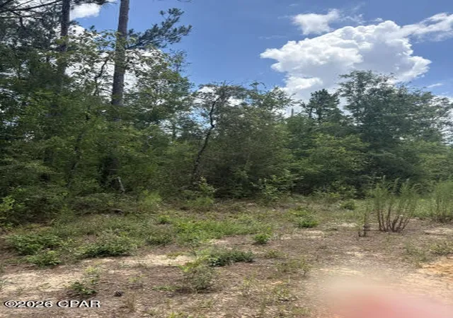 Photo 4 of Land for sale at 0 Tiger Ave, Marianna, FL 32448 | MLS# 791303 | Listing updated on 2026-06-13