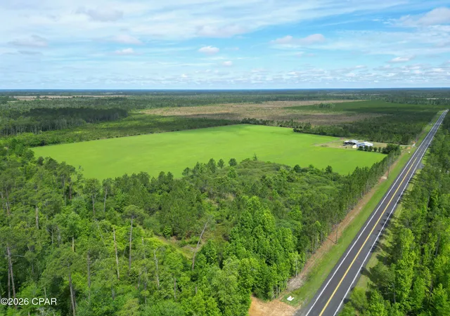 14th image of 000 Sr 71 #71, Blountstown, FL 32424 | MLS# 791412