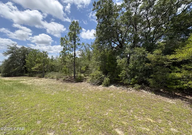 Photo 3 of Sale Pending at Lot 2 Challenger Blvd, Chipley, FL 32428 | MLS# 791659 | Listing updated on 2026-10-07