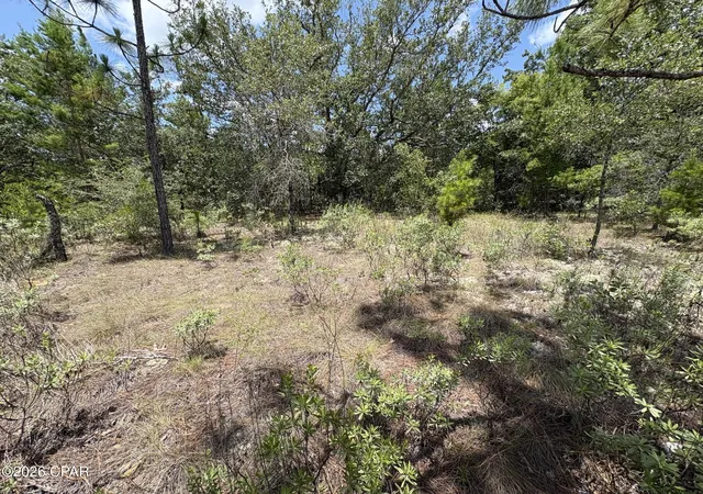 Photo 3 of Sale Pending at Lot 2 Challenger Blvd, Chipley, FL 32428 | MLS# 791659 | Listing updated on 2026-10-07