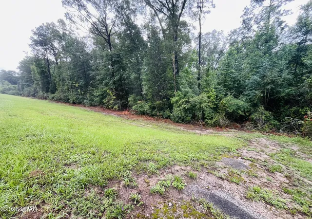 2nd image of Tbd Highway 90, Bonifay, FL 32425 | MLS# 791672