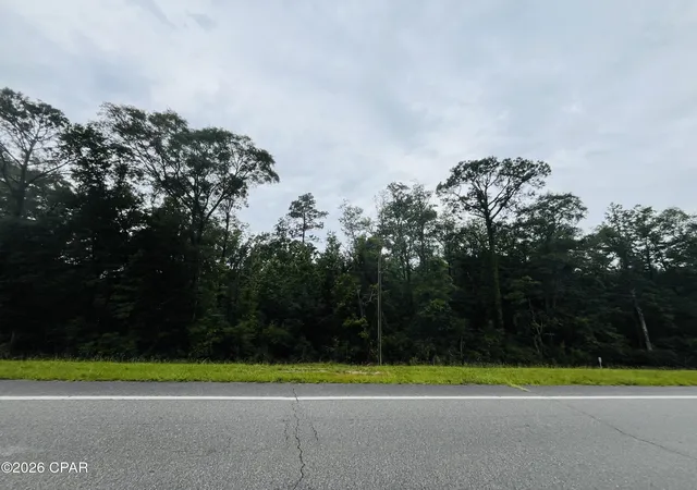 5th image of Tbd Highway 90, Bonifay, FL 32425 | MLS# 791672