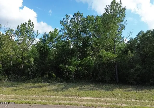 Homes for sale in Chipley, FL | Lot 14 Firetower Rd #11, Chipley, FL 32428 | MLS# 791711