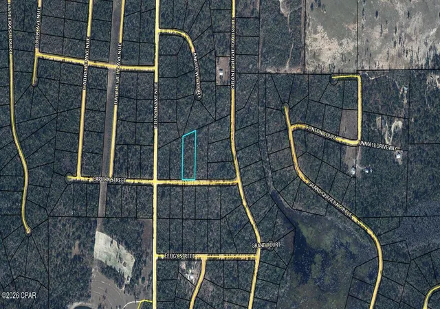 Homes for sale in Alford, FL | 000 Capulin St, Alford, FL 32420 | MLS# 791744