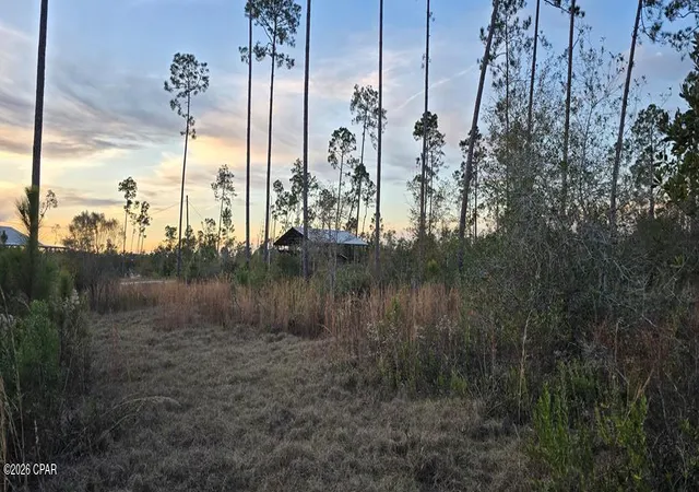1st image of 9641 Cr 386, Wewahitchka, FL 32465 | MLS# 791915