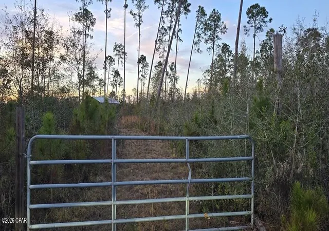 2nd image of 9641 Cr 386, Wewahitchka, FL 32465 | MLS# 791915