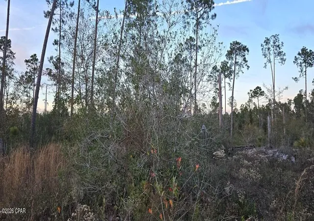 4th image of 9641 Cr 386, Wewahitchka, FL 32465 | MLS# 791915