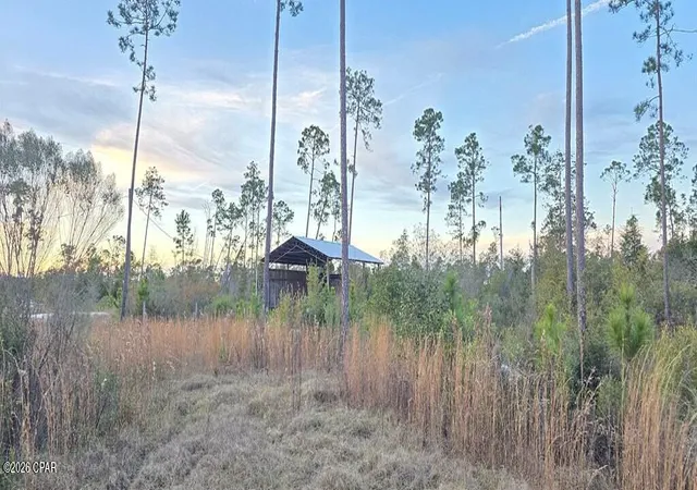 5th image of 9641 Cr 386, Wewahitchka, FL 32465 | MLS# 791915