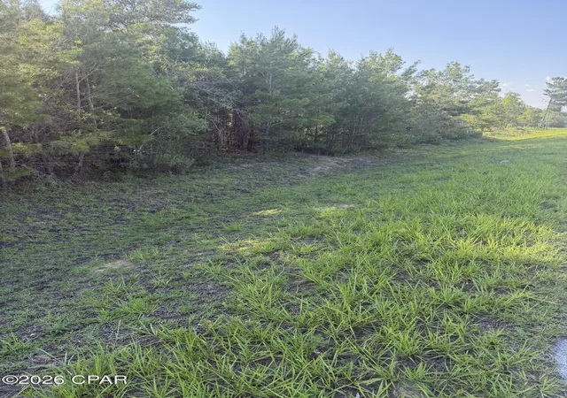 4th image of 6629 Porter Grade Rd, Altha, FL 32421 | MLS# 792024
