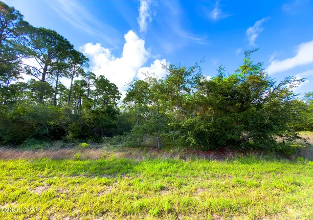 10th image of Lot 5 Indian Pass Rd, Port Saint Joe, FL 32456 | MLS# 792074