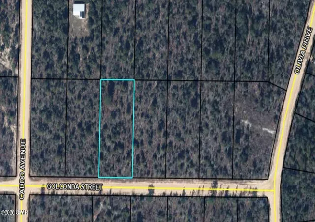 1st image of 0 Golconda St, Alford, FL 32420 | MLS# 792106