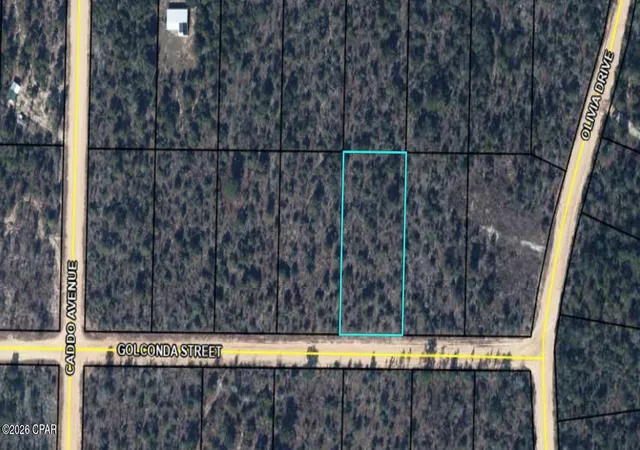 3rd image of 0 Golconda St, Alford, FL 32420 | MLS# 792106