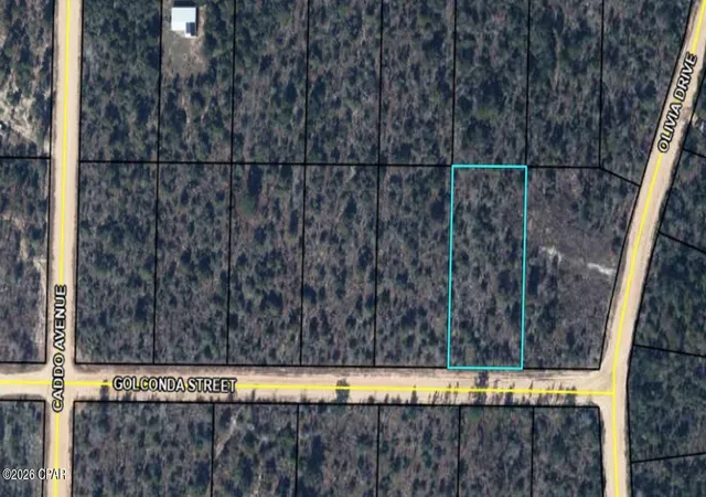 4th image of 0 Golconda St, Alford, FL 32420 | MLS# 792106