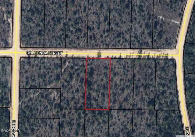 5th image of 0 Golconda St, Alford, FL 32420 | MLS# 792106