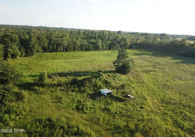 2nd image of Tbd Suggs Attaway Rd, Clarksville, FL 32430 | MLS# 792174