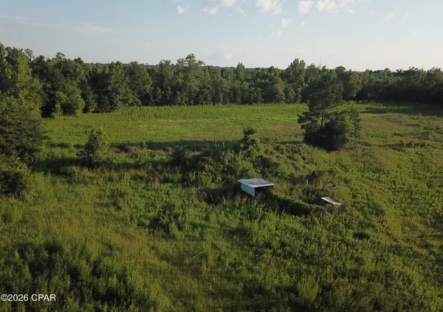 3rd image of Tbd Suggs Attaway Rd, Clarksville, FL 32430 | MLS# 792174