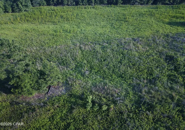 5th image of Tbd Suggs Attaway Rd, Clarksville, FL 32430 | MLS# 792174