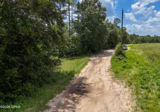 15th image of 00 Wells Rd, Bonifay, FL 32425 | MLS# 792244