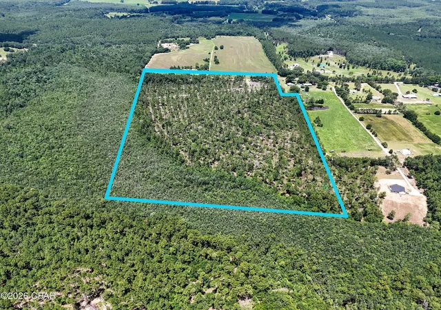 2nd image of 00 Wells Rd, Bonifay, FL 32425 | MLS# 792244