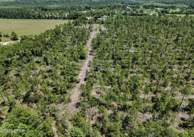 4th image of 00 Wells Rd, Bonifay, FL 32425 | MLS# 792244