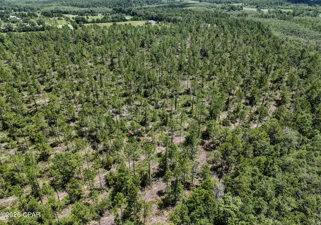 5th image of 00 Wells Rd, Bonifay, FL 32425 | MLS# 792244