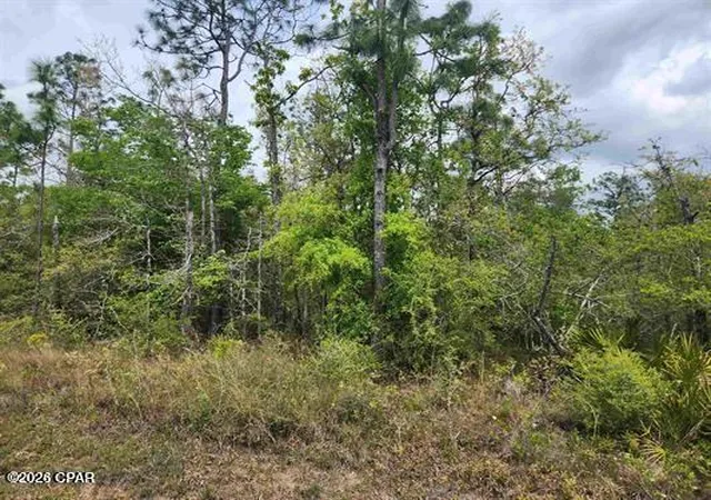 Photo 1 of Land for sale at Xxx Nw Lake Ctr Rd, Fountain, FL 32438 | MLS# 792290 | Listing updated on 2026-07-07