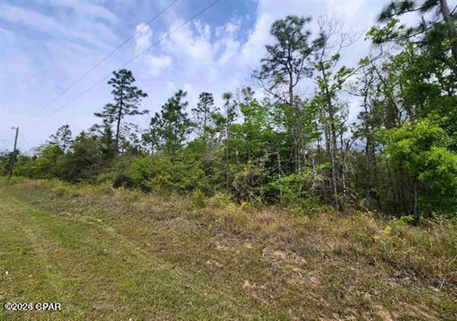 Photo 2 of Land for sale at Xxx Nw Lake Ctr Rd, Fountain, FL 32438 | MLS# 792290 | Listing updated on 2026-07-07