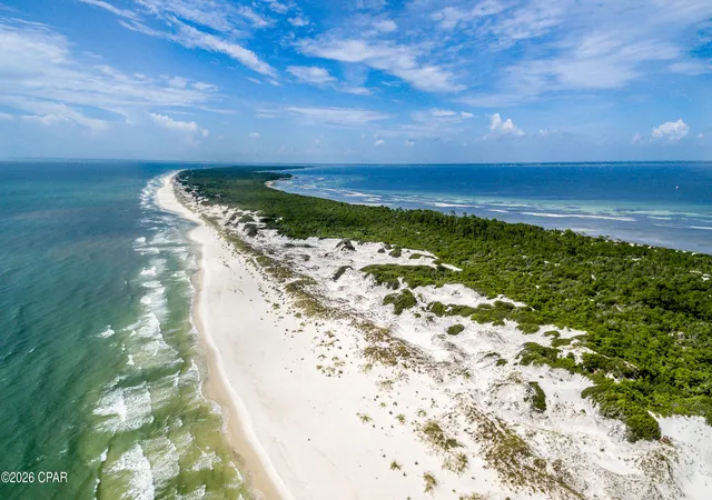 20th image of Lot 5 Borders Rd, Wewahitchka, FL 32465 | MLS# 792334