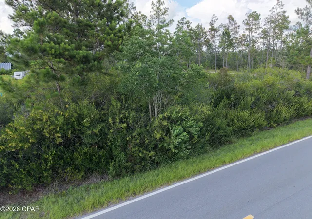 3rd image of Lot 5 Borders Rd, Wewahitchka, FL 32465 | MLS# 792334