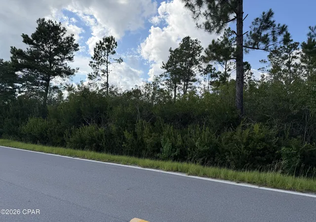 4th image of Lot 5 Borders Rd, Wewahitchka, FL 32465 | MLS# 792334