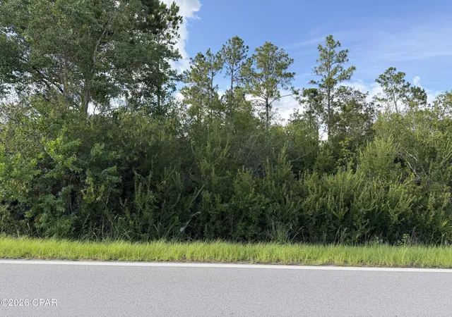 5th image of Lot 5 Borders Rd, Wewahitchka, FL 32465 | MLS# 792334
