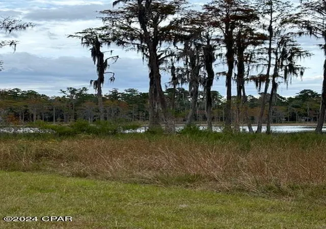 12th image of 0000 Everest Dr, Chipley, FL 32428 | MLS# 792345
