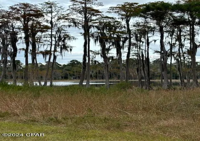 1st image of 0000 Everest Dr, Chipley, FL 32428 | MLS# 792345